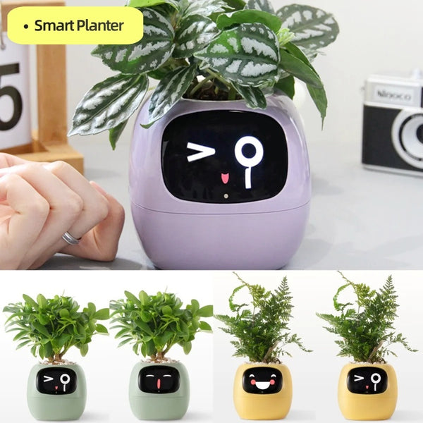 Smart Planter Endless Fun Over 49 Rich Expressions